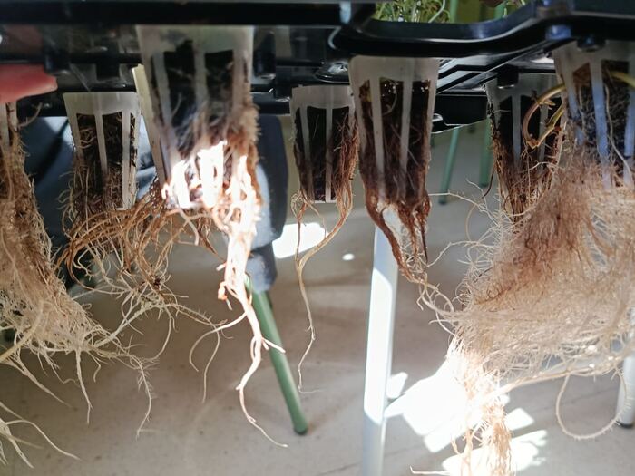 Conexionado y cableado del sistema